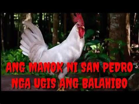 Ang Manok ni San Pedro by Max Surban .